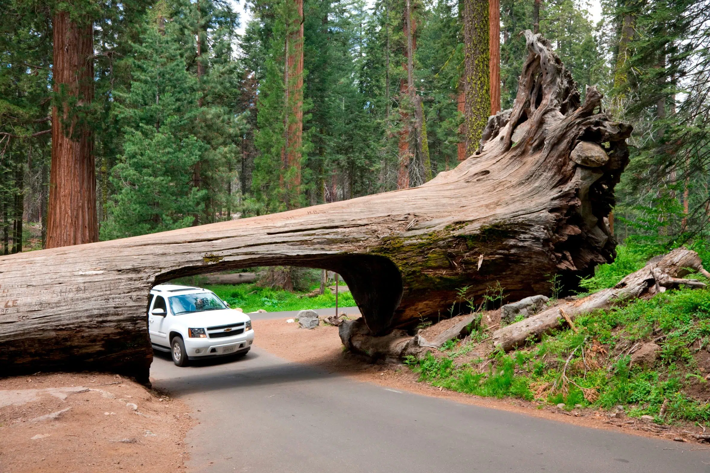 Mississippi Woman Found Safe In Sequoia National Park