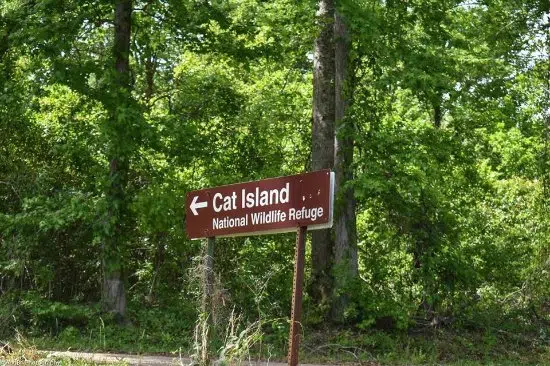 Cat Island Refuge Closed Because Of High Water