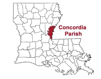 3rd Positive COVID-19 Case in Concordia Parish