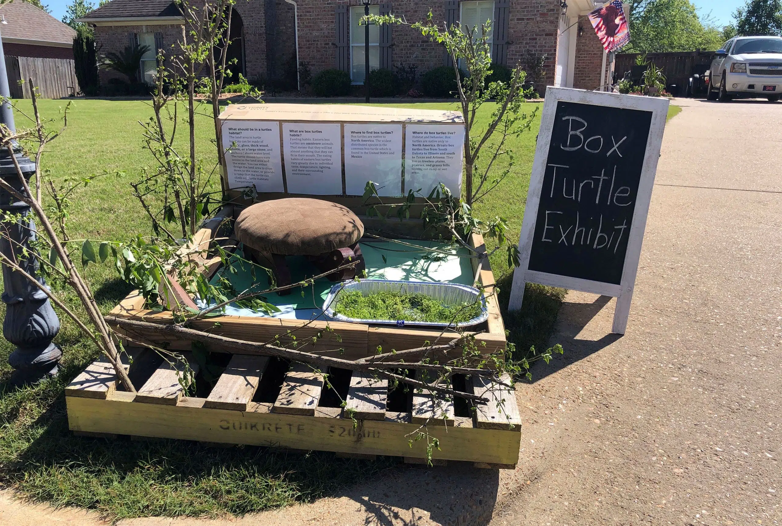 Oxford Neighborhood Creates Social Distance Zoo