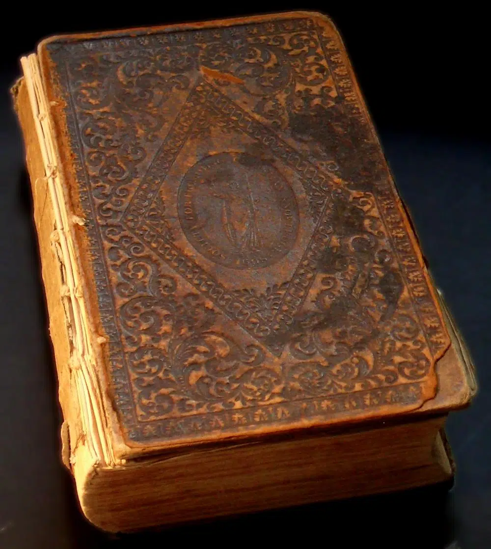 Daniel Radcliffe And Other "Harry Potter" Stars Read First Book In Series For Fans