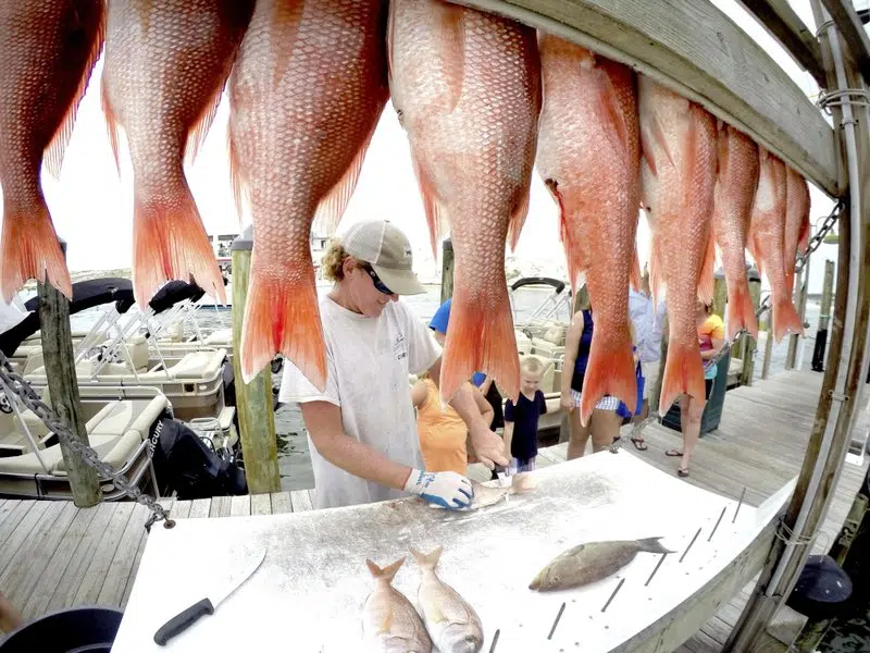 Louisiana Has Closed Recreational Red Snapper Season