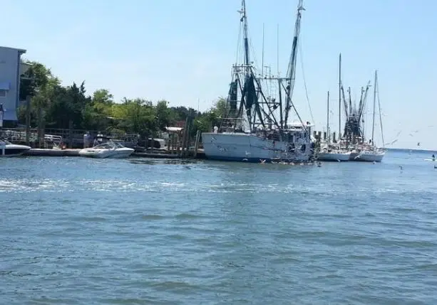 Louisiana Inshore Shrimp Season Starts Monday In Most Areas