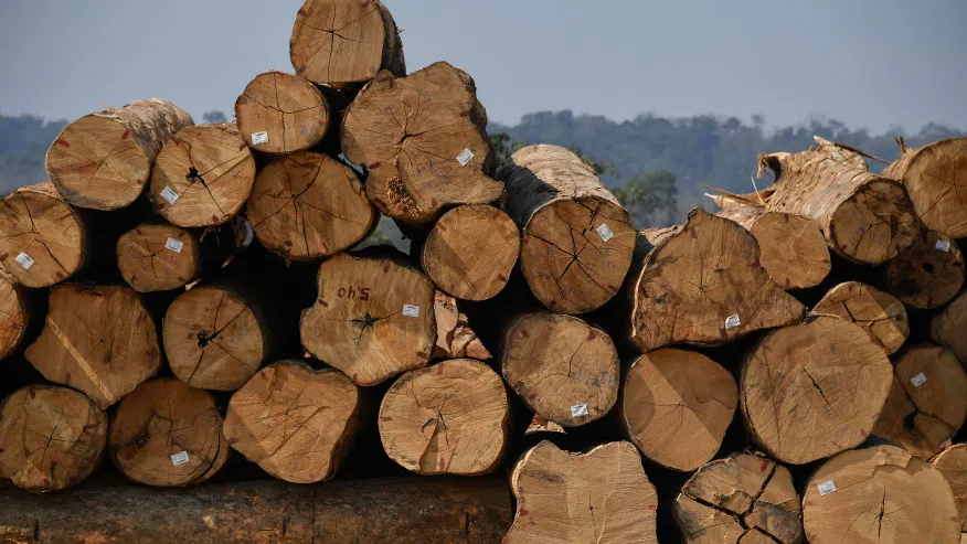 $90M Sawmill Project Expected To Bring 95 Jobs To Louisiana