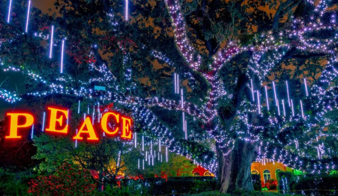 City Park Light Extravaganza Goes Drive-Thru Due To Pandemic