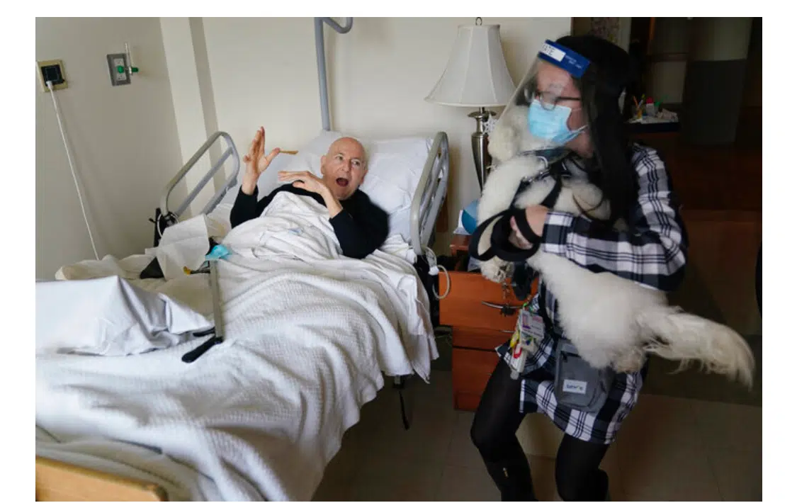 Dogs Ease Pandemic Isolation For Nursing Home Residents