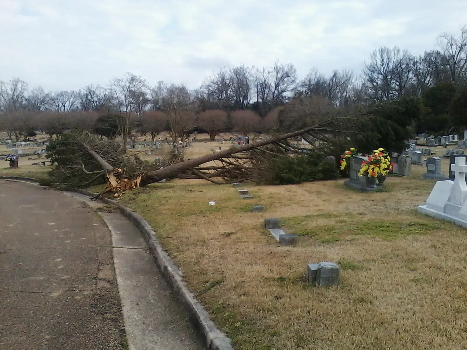 Natchez board fast-tracks storm debris pickup