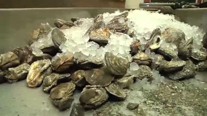 Unexplained Die-Off Latest Blow To Louisiana Oyster Fishers