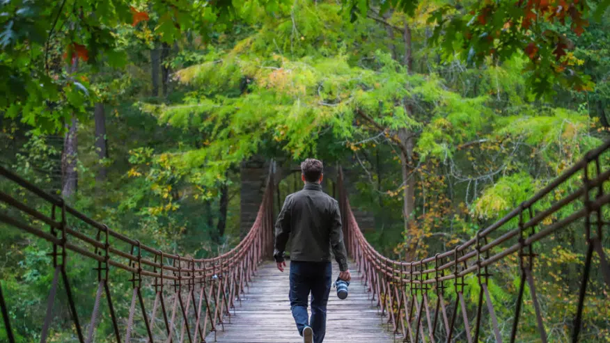 Natchez Trace Parkway named one of Top 10 Most Visited National Parks in 2020