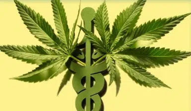 Natchez board making plan for where medical marijuana can be sold