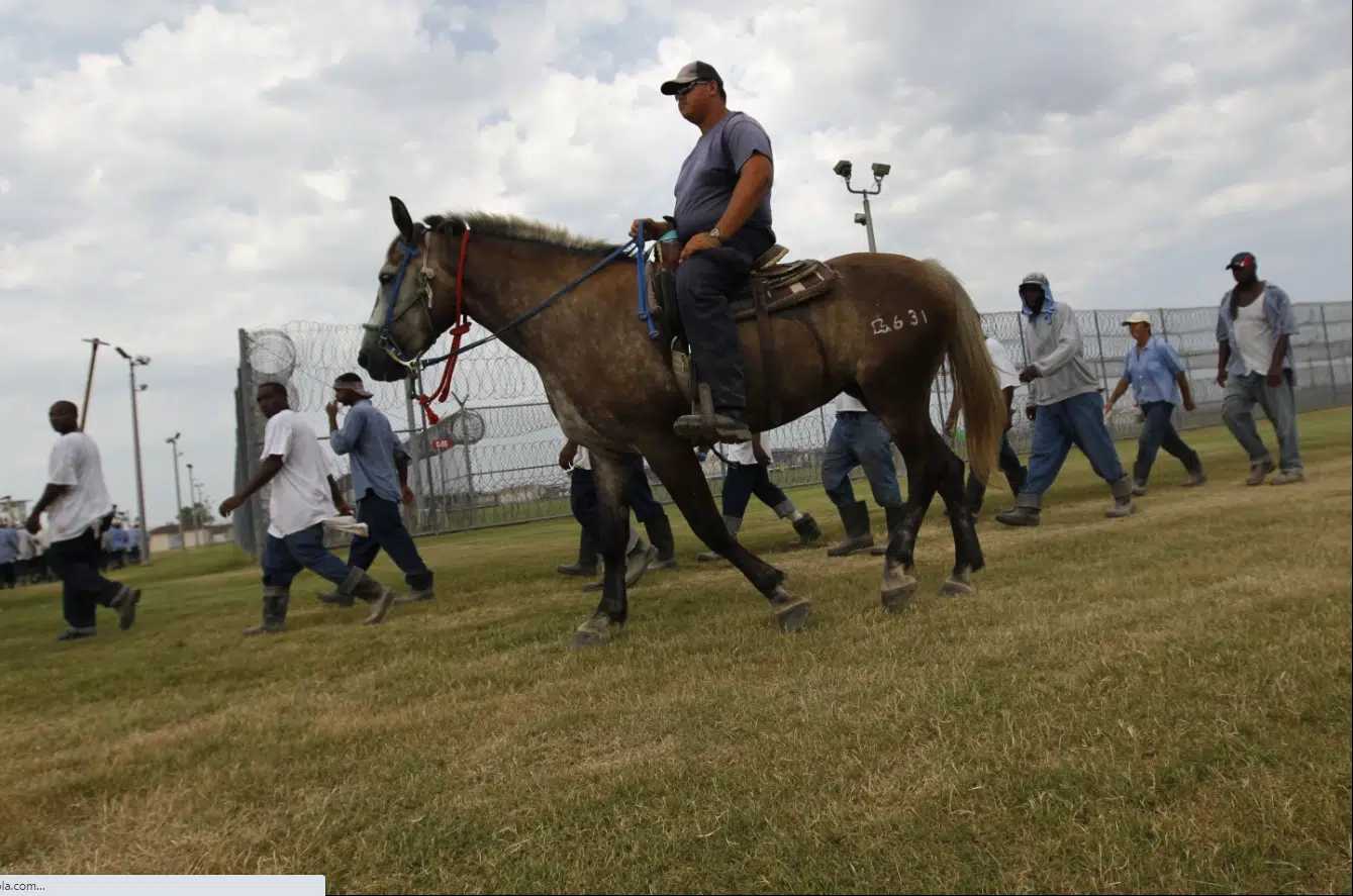 As temperatures soar, judge tells Louisiana to help protect prisoners working in fields