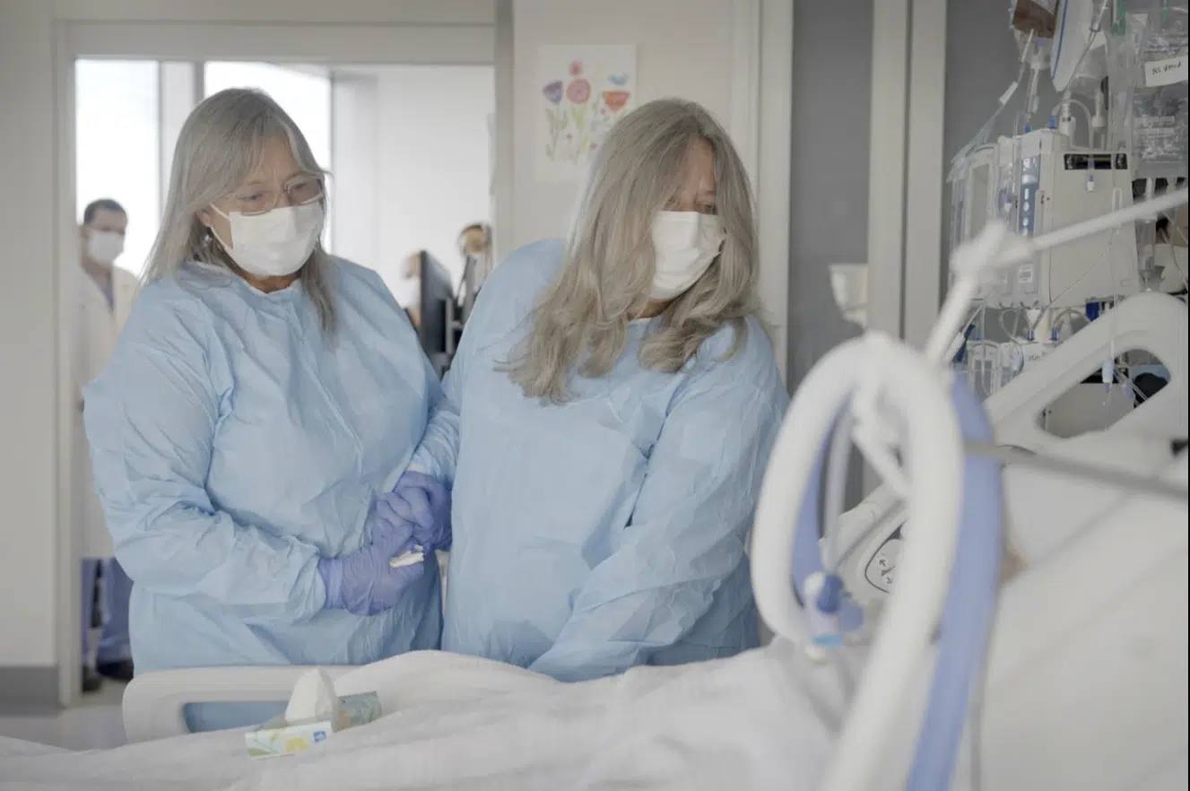 Pig kidney works a record 2 months in donated body, raising hope for