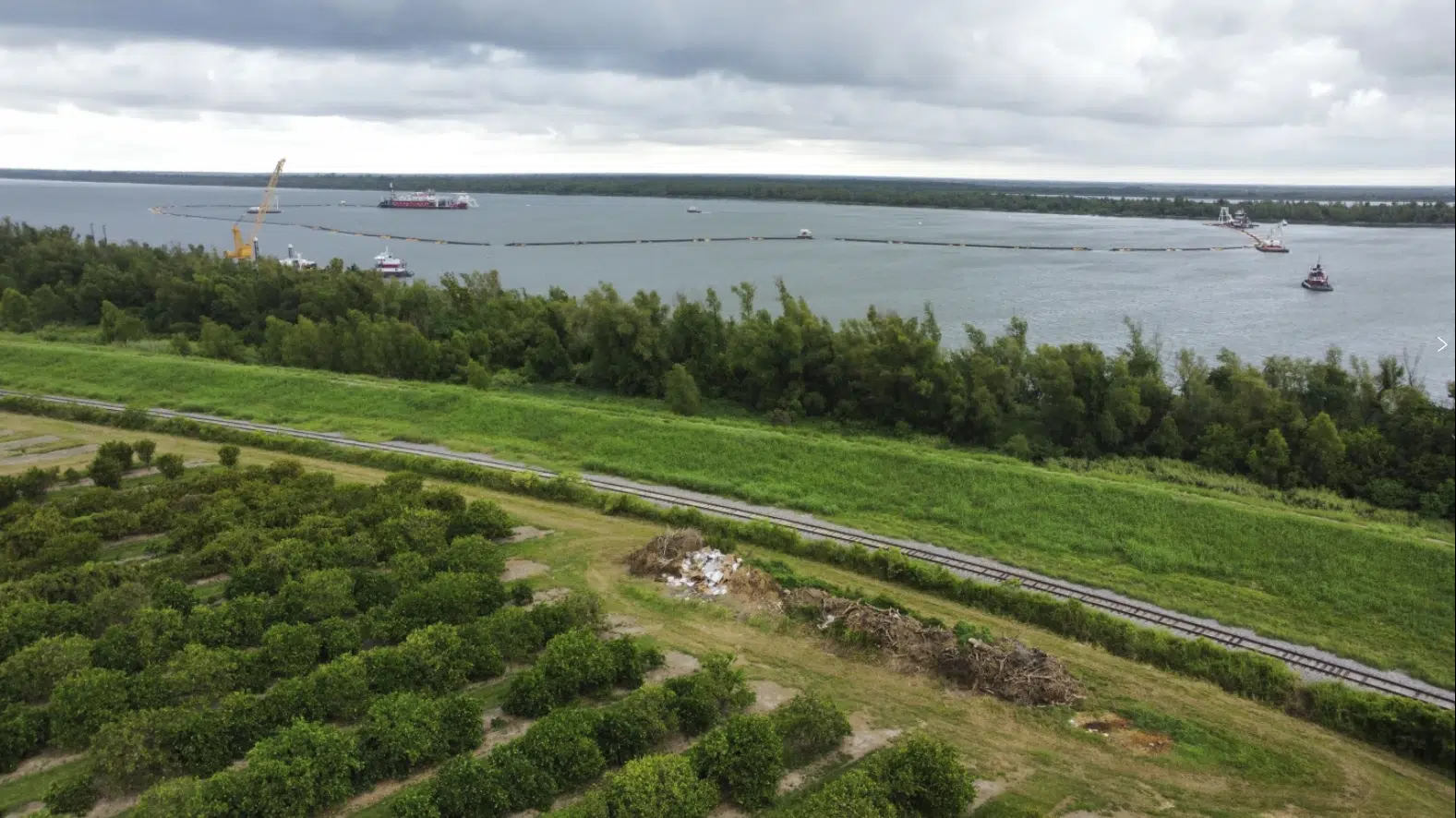 Louisiana citrus farmers are seeing a mass influx of salt water that could threaten seedlings