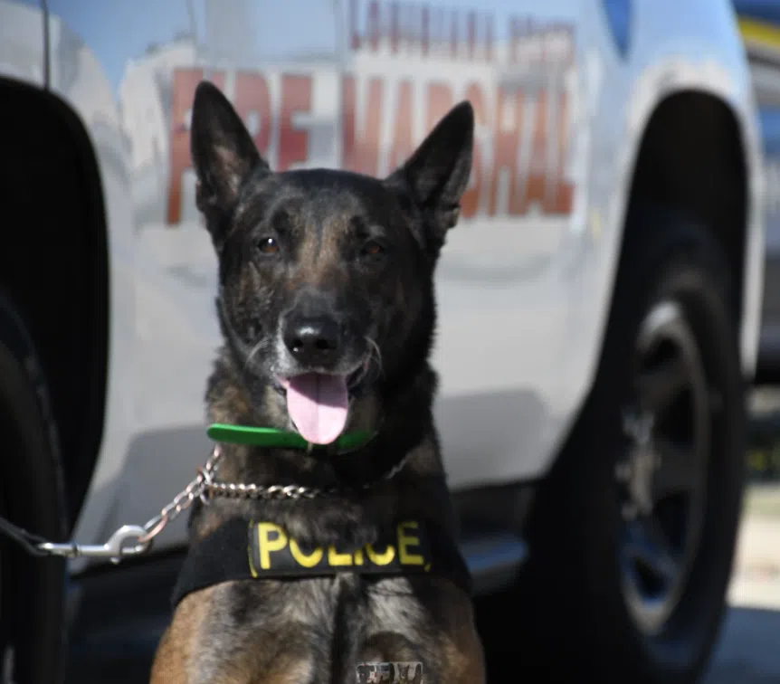 Lousiana State Fire Marshal K-9 Diesel Retires