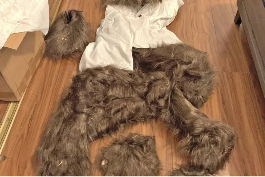 Insurers say bear that damaged luxury cars was actually a person in a costume