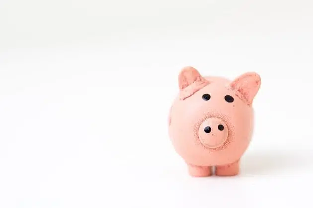 cash money bank notes piggy bank