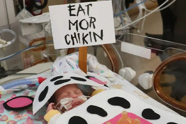 Tiny babies celebrate their first Halloween complete with costumes