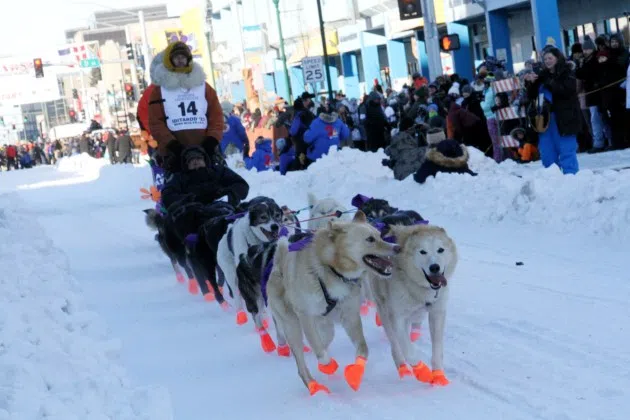Assault claims roil Iditarod sled dog race as 2 top mushers are