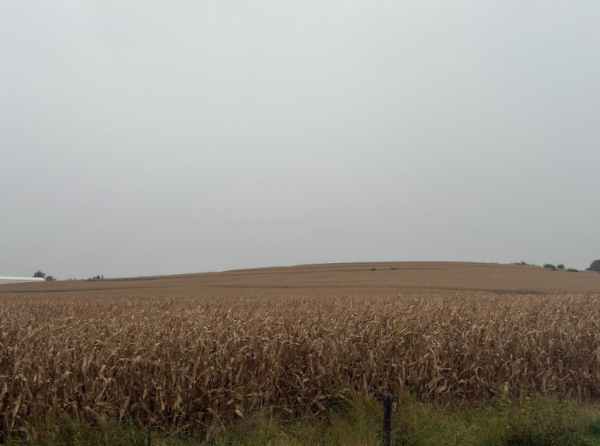 U.S. Corn, Soybean Harvest Progress Slows with More Rain in the Forecast