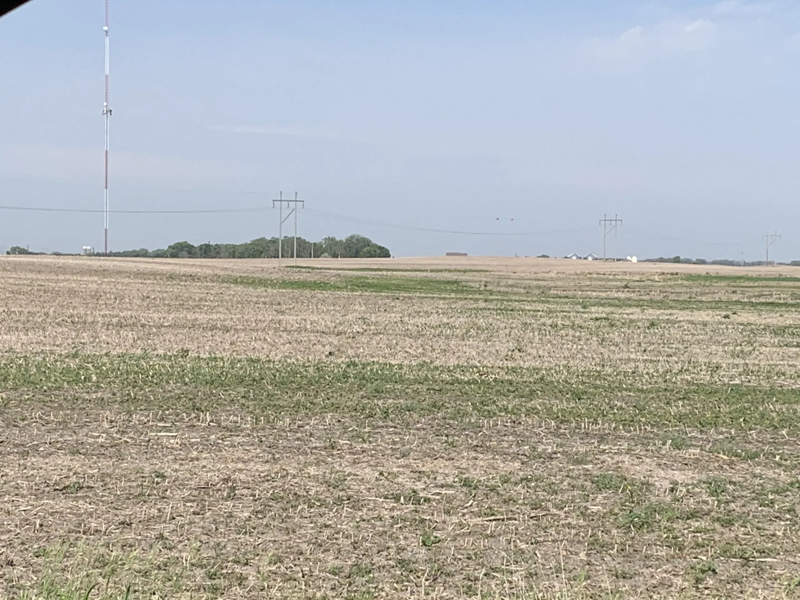 Buy-up option for prevented planting insurance eliminated