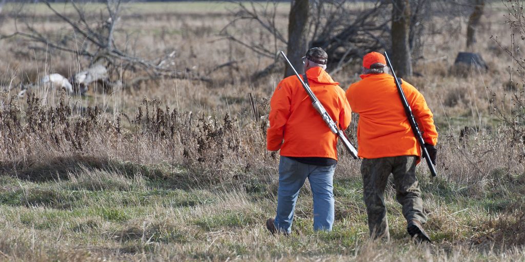 Firearms deer season open in Minnesota; leaders urge safety - Vimarsana News