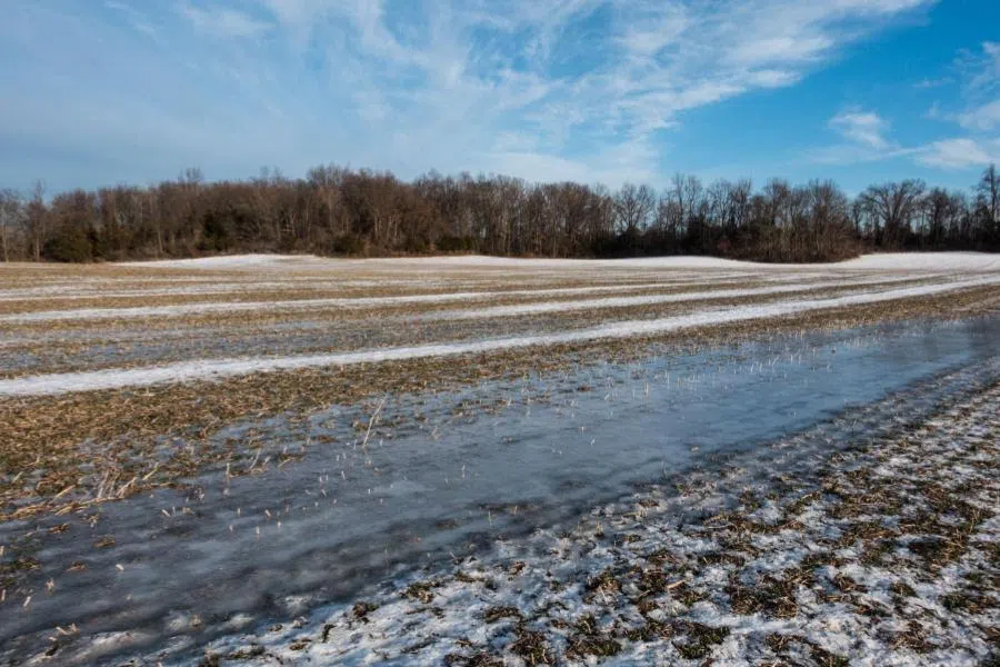 Research Brief Nitrous oxide emissions from Corn Belt spike when soils