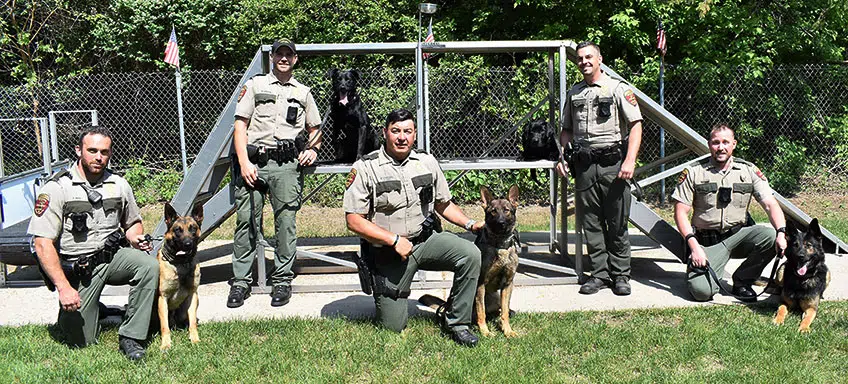 K9 Bruno receives Meritorious Action Award - The BayNet