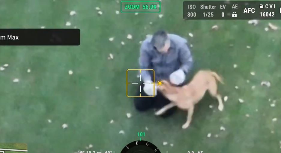 WATCH: Minnesota man helps find lost dogs using thermal drone technology - Vimarsana News