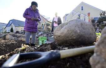 City of St. Paul orders woman to remove rocks, other items from her yard - Vimarsana News