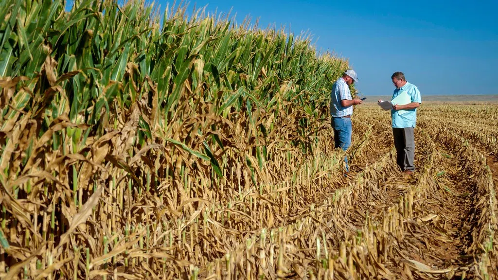 Lawmakers request new USDA Emergency Relief Program The Mighty 790