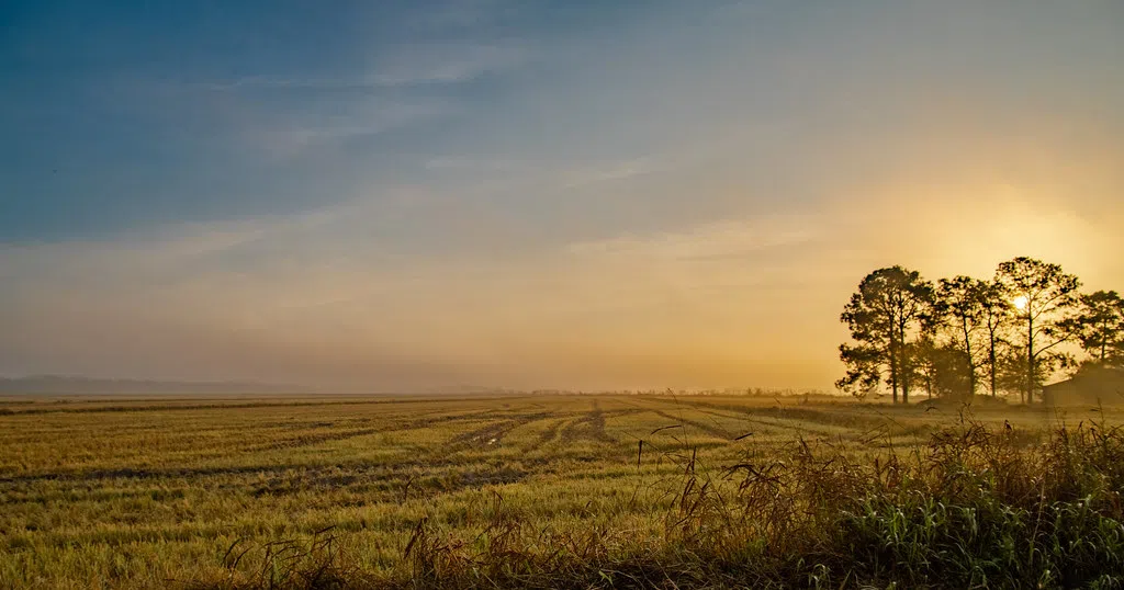 Erickson to lead Leopold Conservation Awards  in the Dakotas