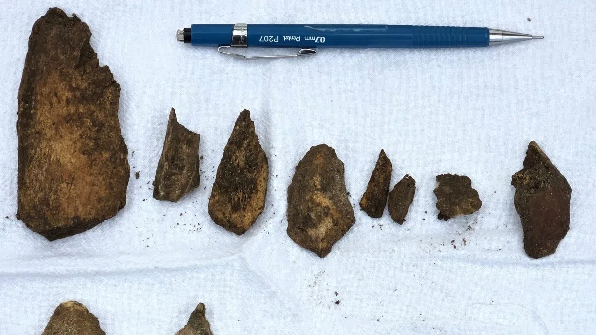 Mammoth dig site in North Dakota shows promise