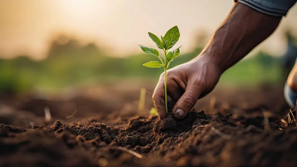 Survey highlights current use of sustainable ag practices, identifies barriers to adoption