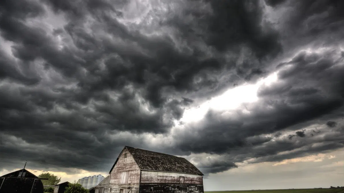 Agriculture forecast for 2026 offers mixed outlook