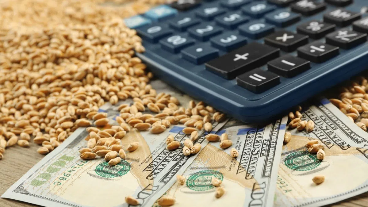 Farmers affected by Hansen-Mueller bankruptcy encouraged to file claims