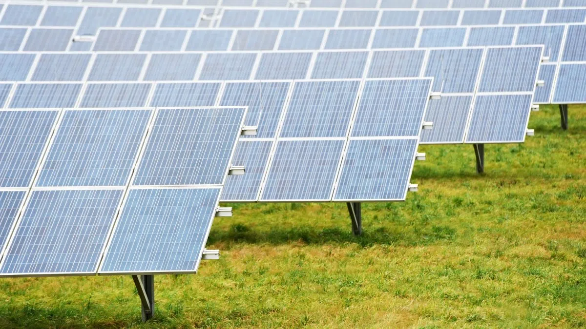 Agrivoltaics summit in Chicago highlights solar energy, soil health