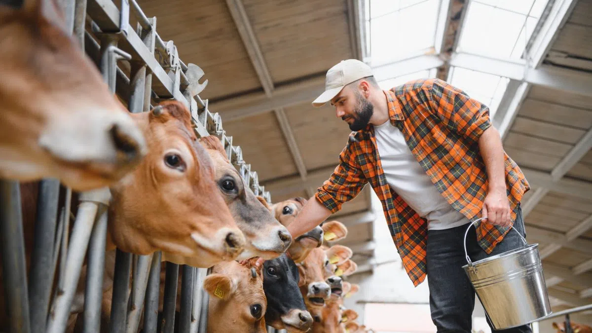 SDSU Extension to host Strong Minds, Strong Farms webinar series