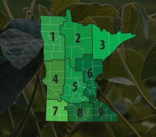 MN Soybean Research & Promotion Council seeking candidates for 2026 election