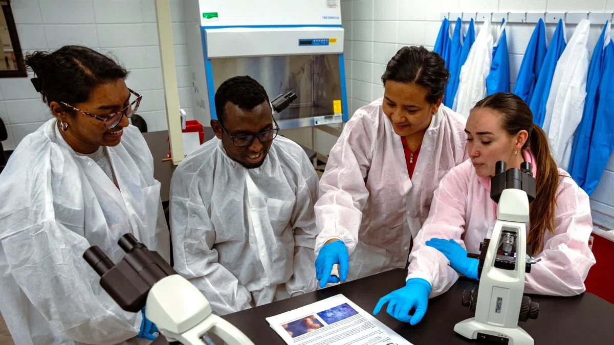 M State health sciences enrollment increases 32%