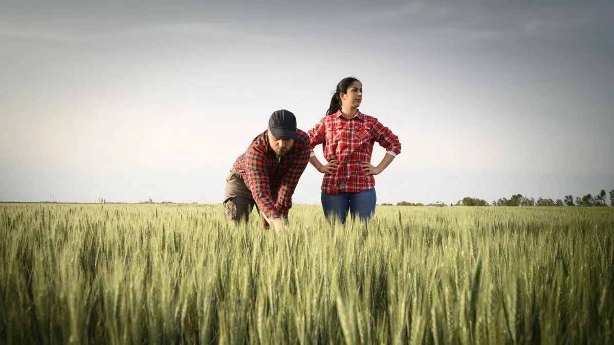 Beginning farmer equipment and infrastructure grants open in Minnesota