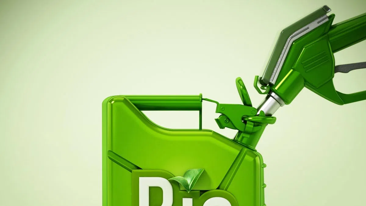 MN farmer reelected to Clean Fuels Alliance Governing Board