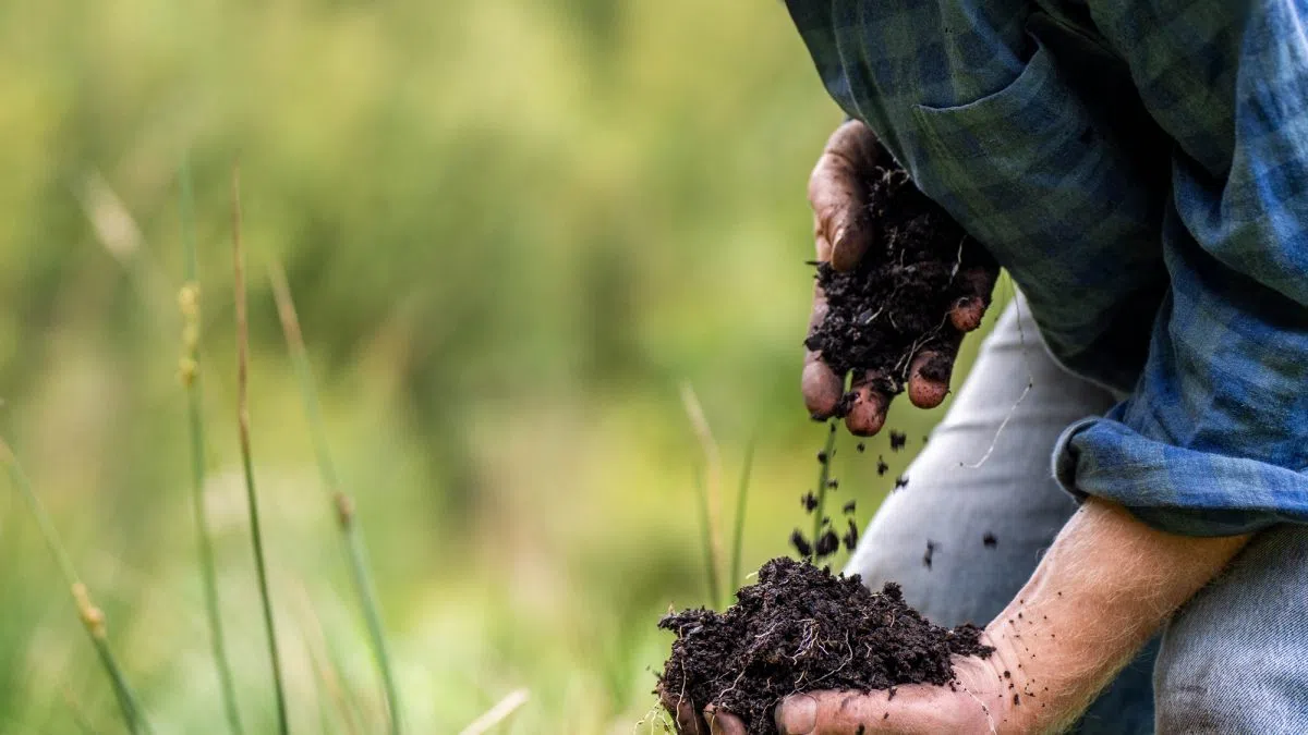 Minnesota farmers feeling the impact as immigrant workers fear ICE