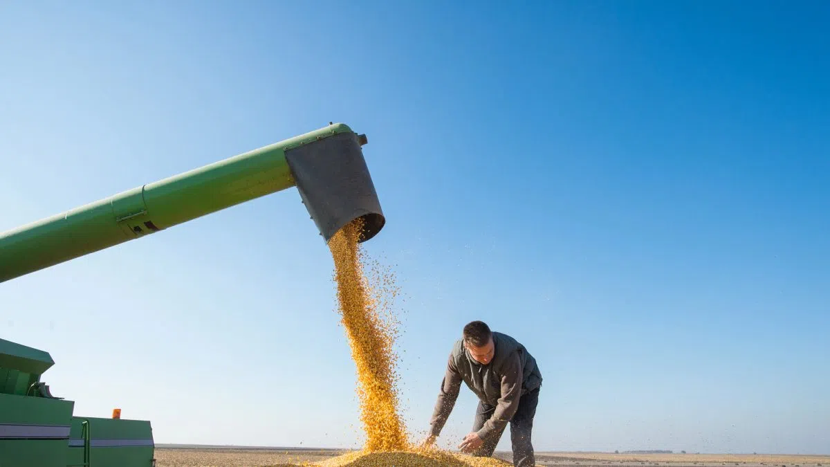 Coalition touts new study showing USMCA’s powerful benefits for agriculture