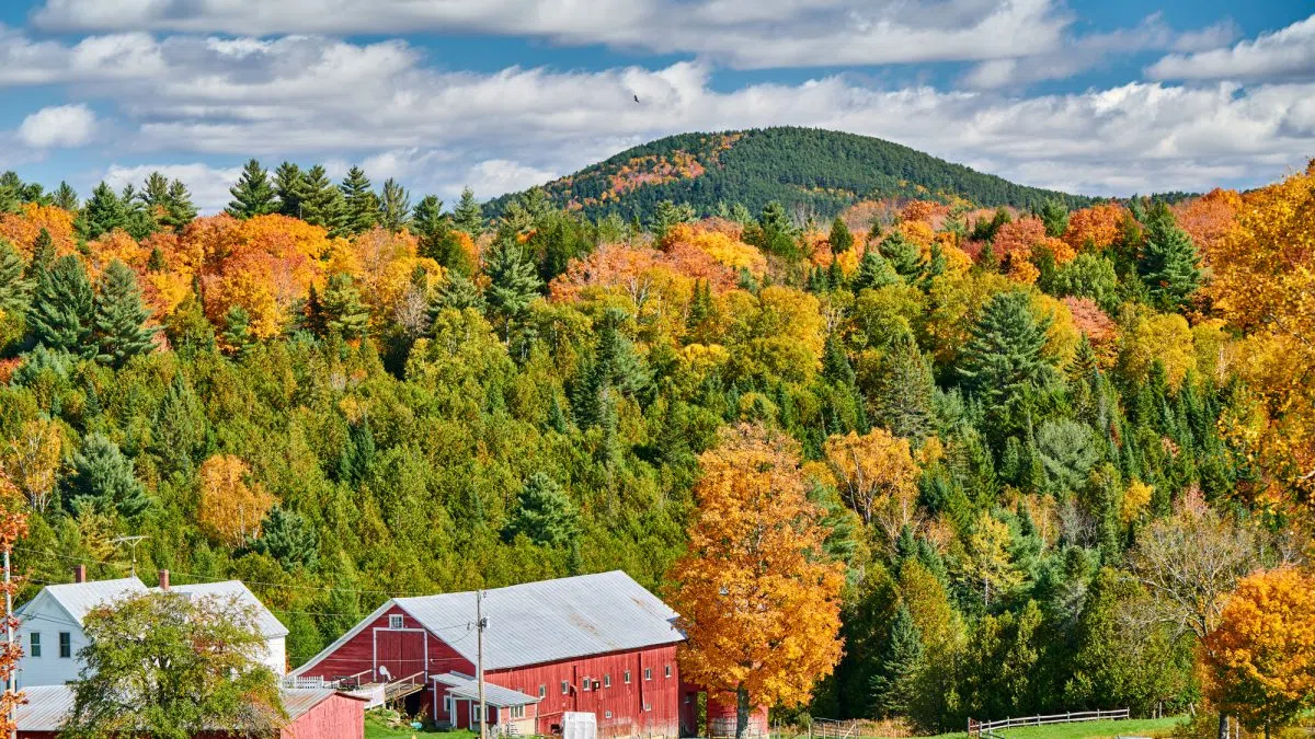 Vermont bucking the ag export slump