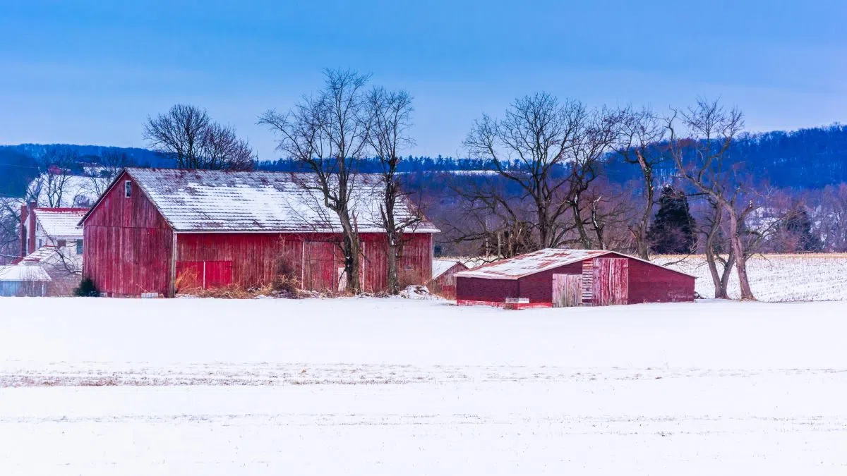 Quarterly economic condition report for U.S. agriculture