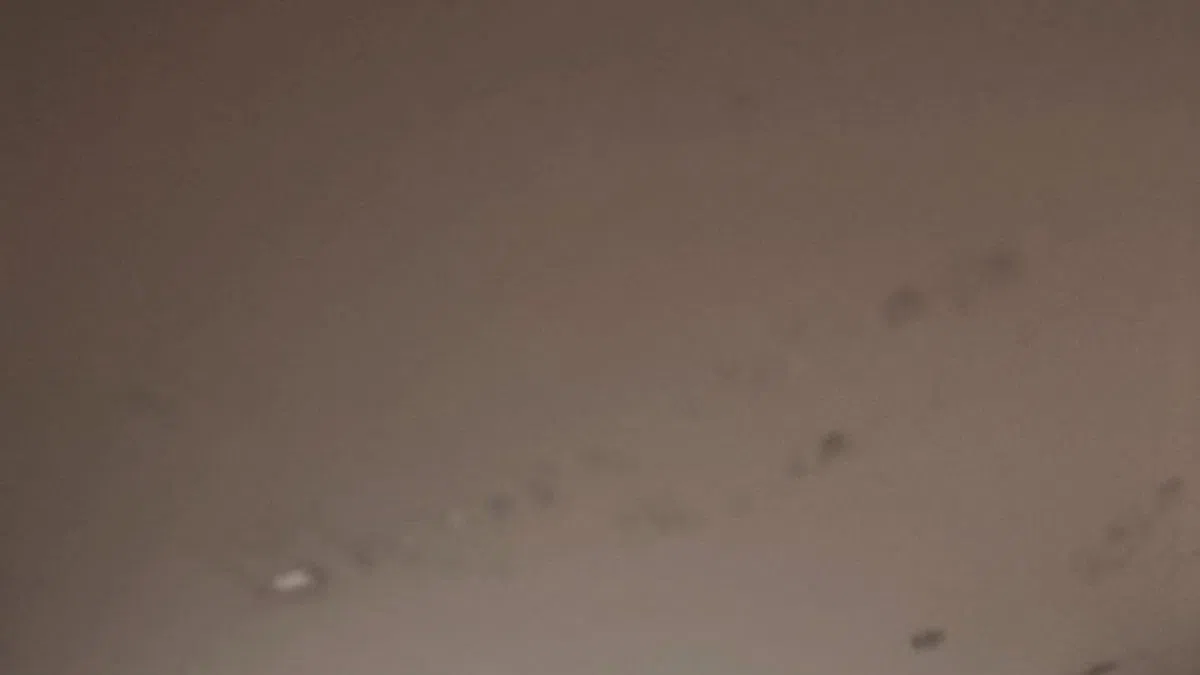 No travel advised as blizzard conditions hit the area