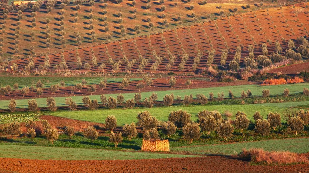 Grant applications open for 2026 Morocco trade mission