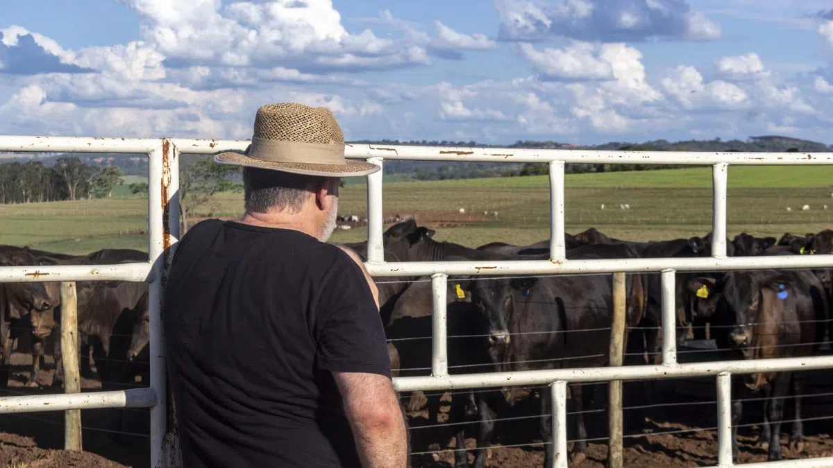 Brazil passes U.S. as top beef producer