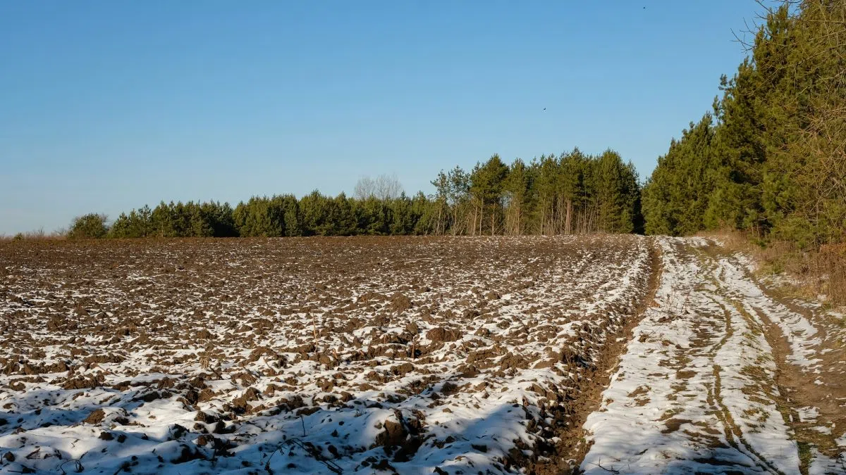 Farmer sentiment drifts lower as trade uncertainty hangs over agriculture
