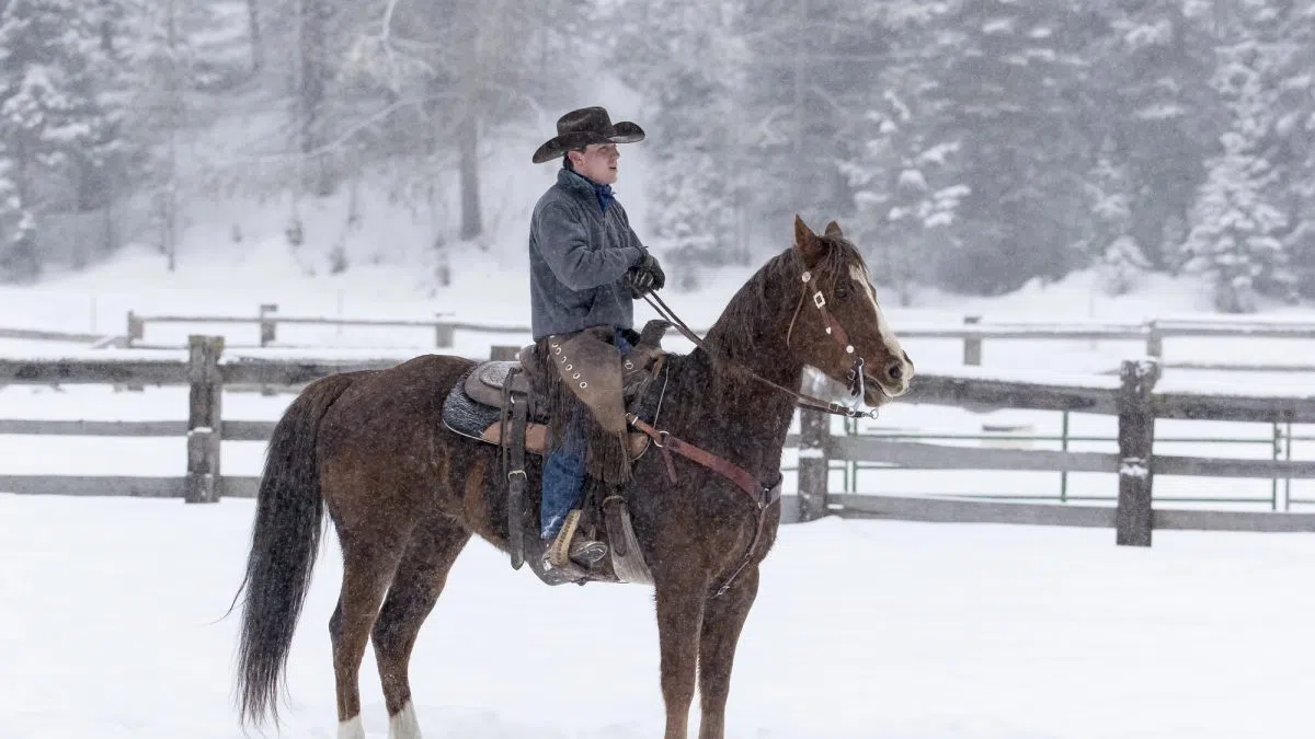 Animal Agriculture Alliance opens enrollment in Ag Allies program for 2026